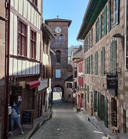 Gite Ultreia Vertes Montagnes Saint-Jean-Pied-de-Port Dış mekan fotoğraf