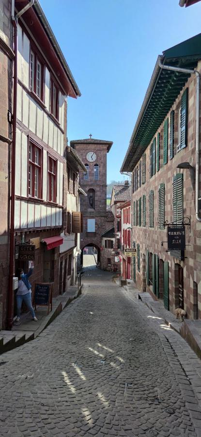 Gite Ultreia Vertes Montagnes Saint-Jean-Pied-de-Port Dış mekan fotoğraf