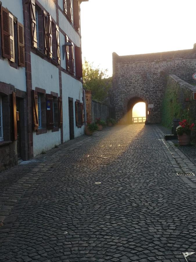 Gite Ultreia Vertes Montagnes Saint-Jean-Pied-de-Port Dış mekan fotoğraf
